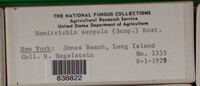 Image Associated With the Occurence